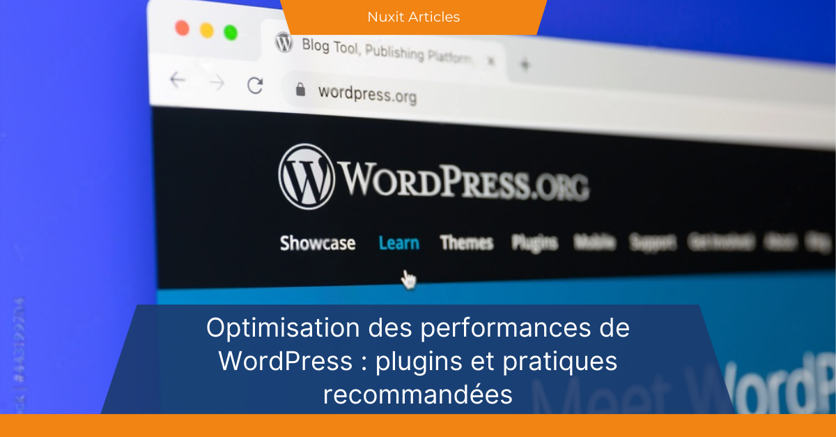 optimiser wordpress